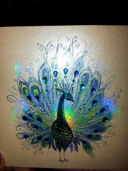 Жар птица акрилом