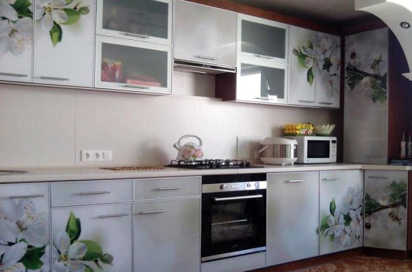 Кухни фасады пластик Лотос Юг фотопечать