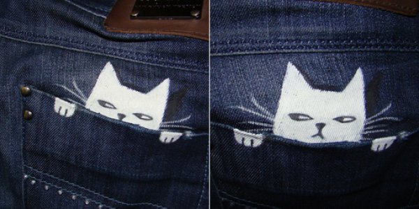 Кот в джинсах