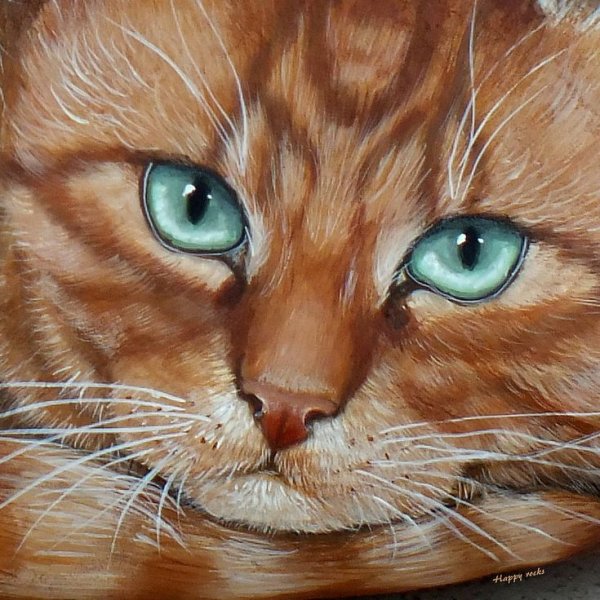 Рыжий кот акриловыми красками