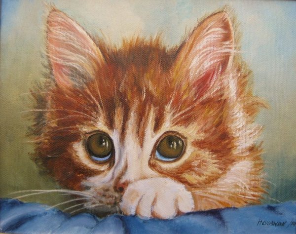 Котик маслом на холсте