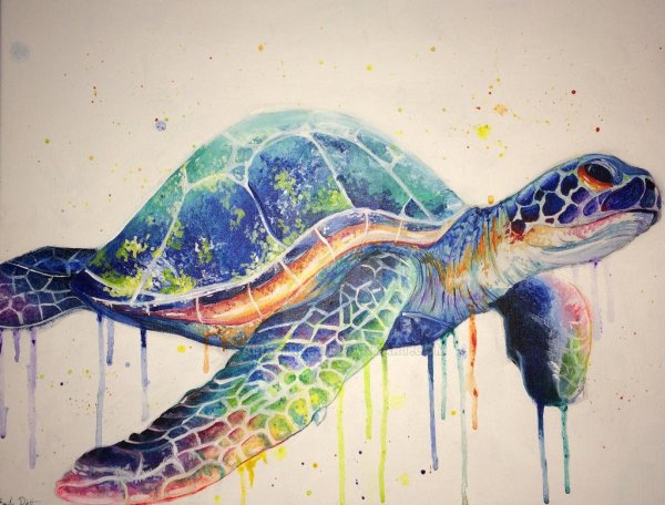 Черепаха акрилом