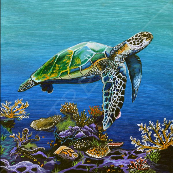 Картина черепаха