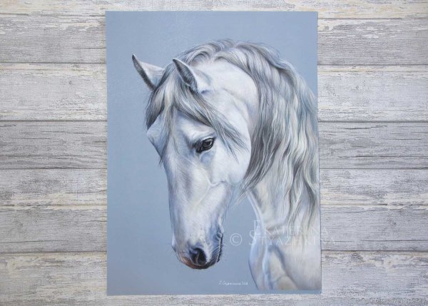 Лошадь рисунок