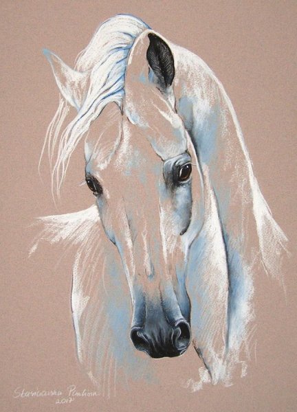 Картины Паулина Стасиковска