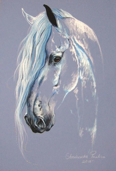 Художница Paulina Stasikowska