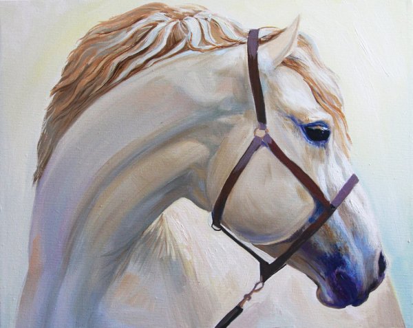 Морда лошади живопись