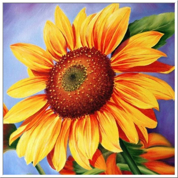 Подсолнух красками