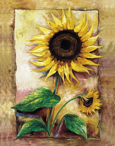 Rian Withaar цветы