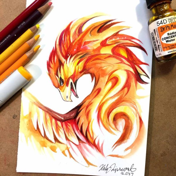 Рисунки одежды