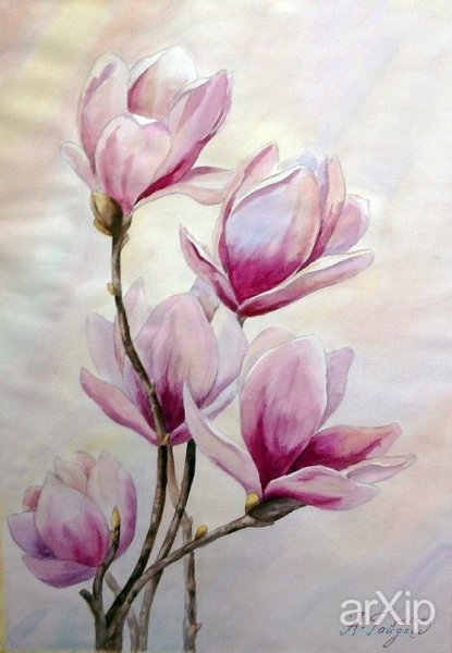 Магнолия Суланжа акварель
