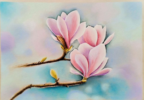 Магнолия gk914