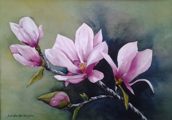 Ветка магнолии Гончарова