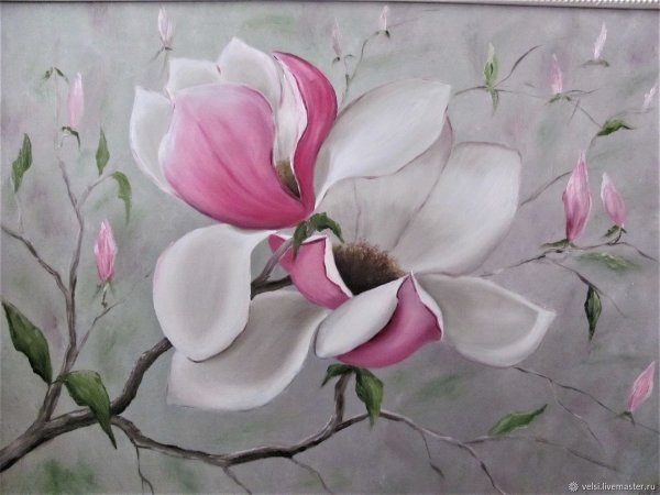 Магнолия живопись маслом