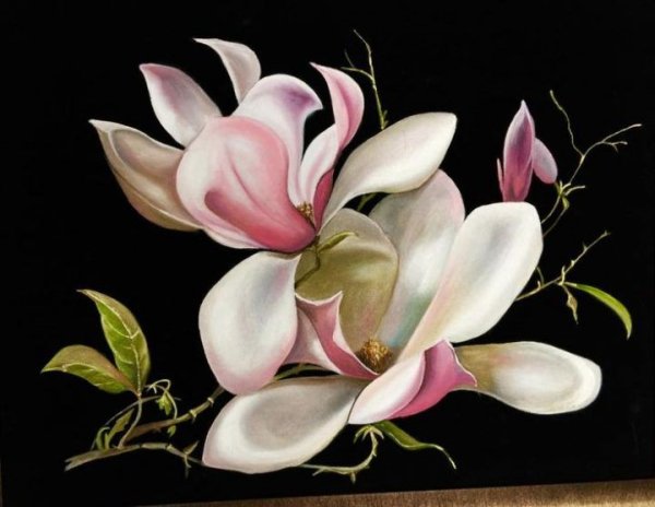 Художница Silvina Belcastro