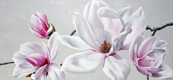 Ветка магнолии живопись