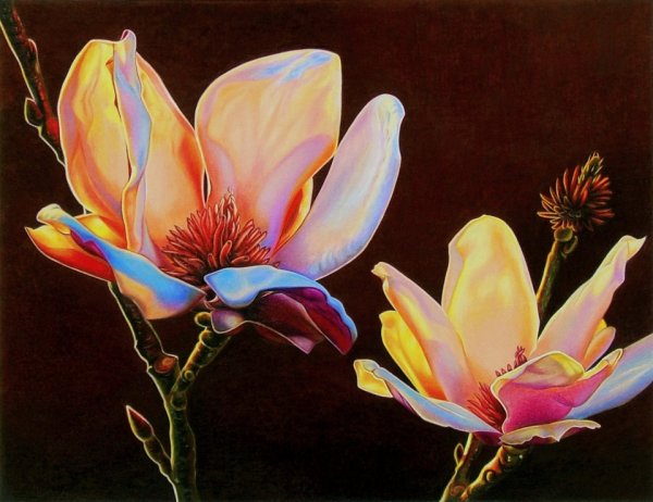 Картины экзотических цветов