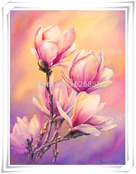 Ветка магнолии