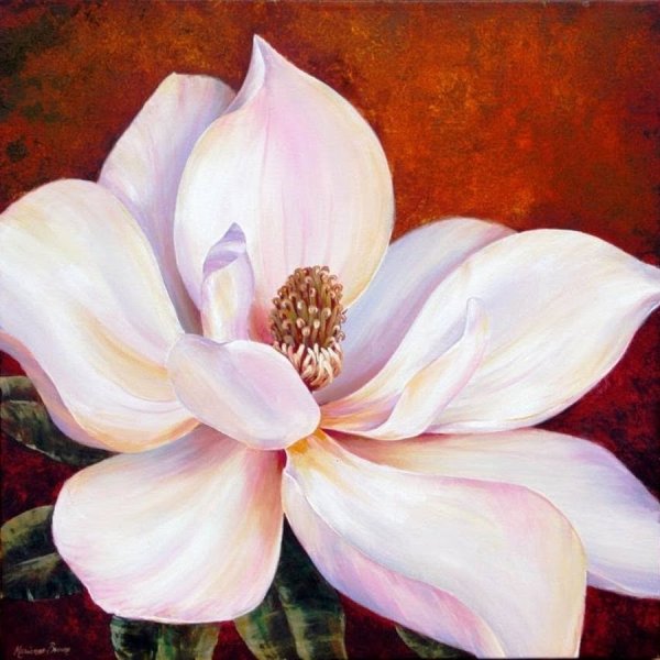 Пионы Marianne Broome