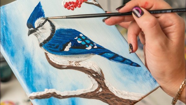 Нарисовать сойку