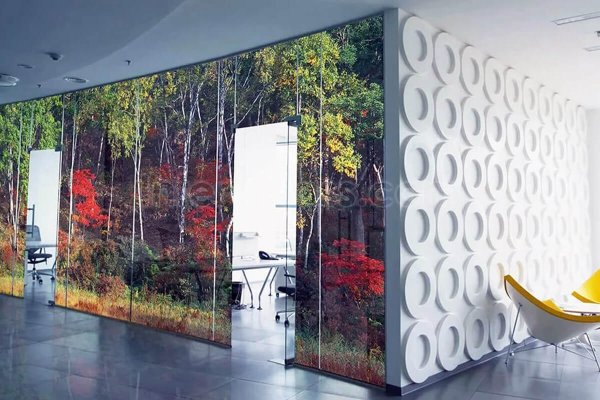 Стеклянные перегородки с принтом