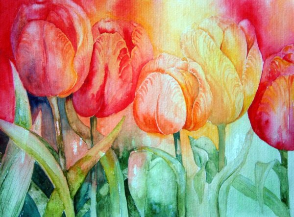 Цветы акварель тюльпаны