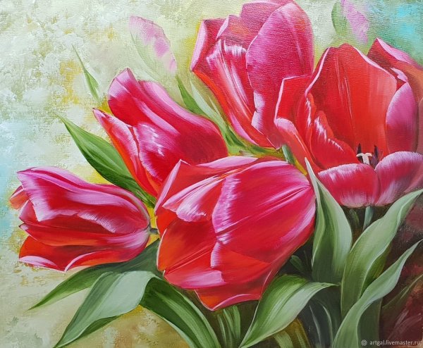 Тюльпаны Лукас Айгнер