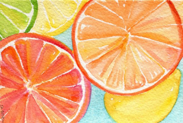 Долька апельсина акварель