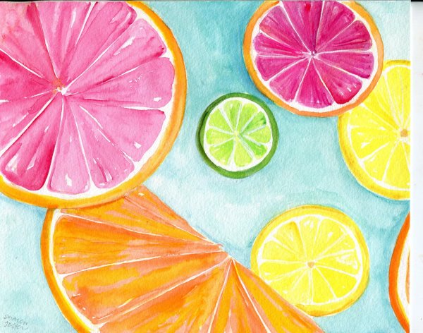 Цитрусовые фрукты арт