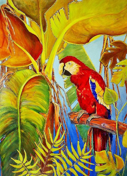 Картина попугай