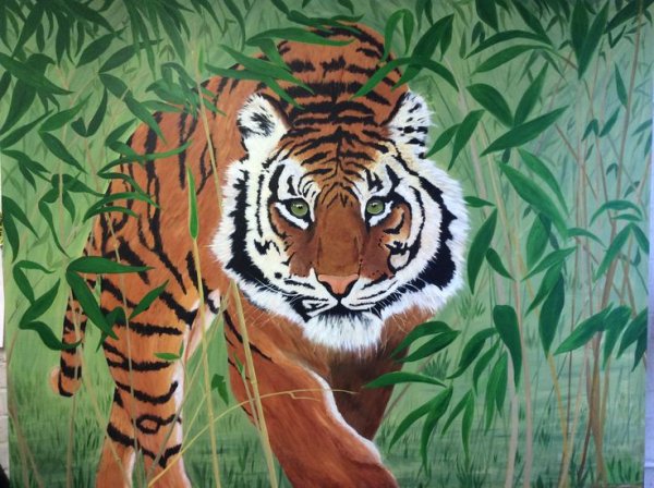 Тигр в джунглях рисунок
