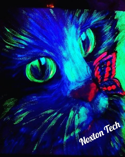 Noxton Tech флуоресцентная краска