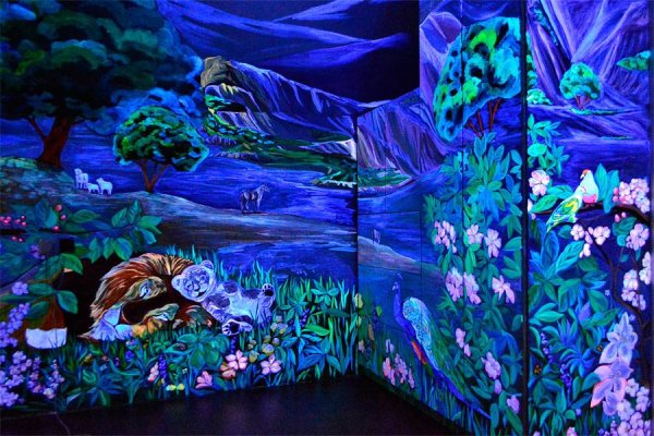 Роспись стен флуоресцентными красками