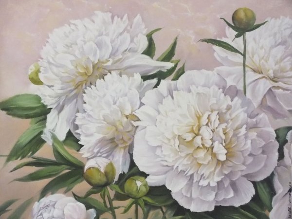 Пионы Кулигина