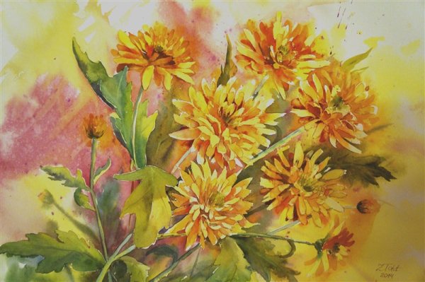Хризантема золотой шар акварель