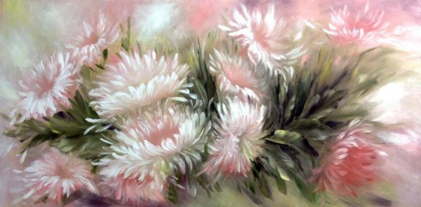 Базанова астры