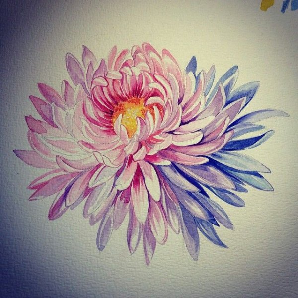 Тату Астра цветок