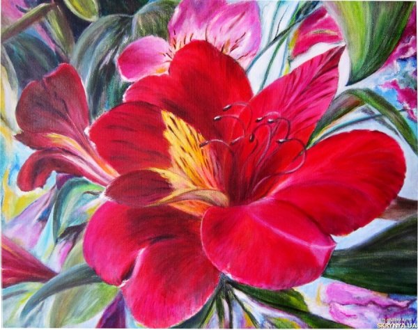 Цветы красками