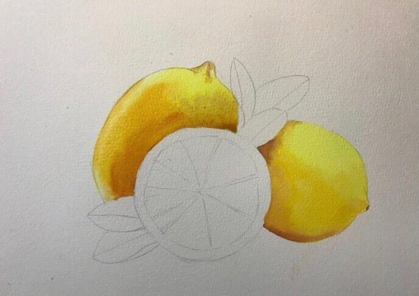Лимон акварелью для начинающих