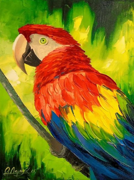 Попугаи живопись акриловыми красками