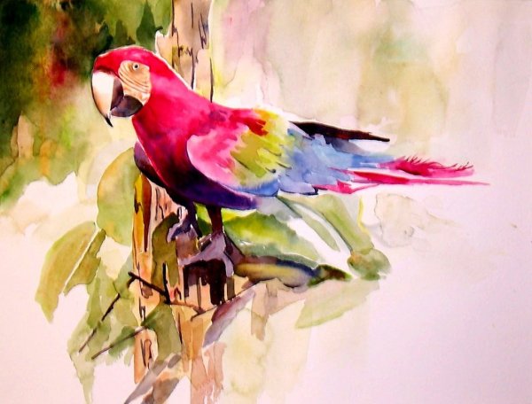 Птицы живопись акрил