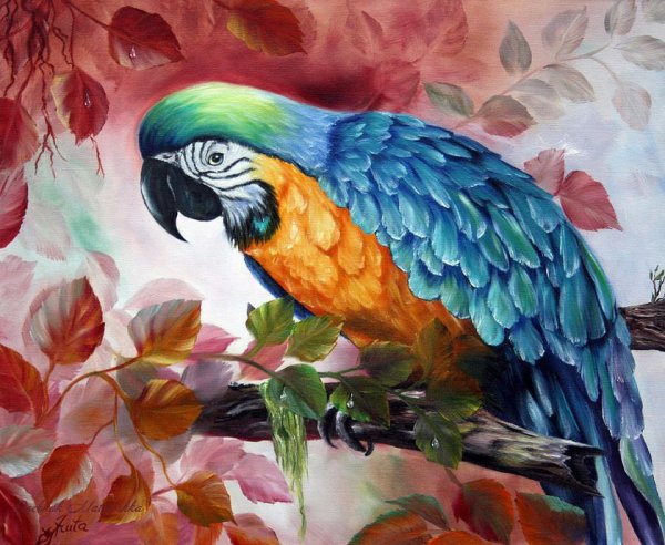 Попугай гуашью