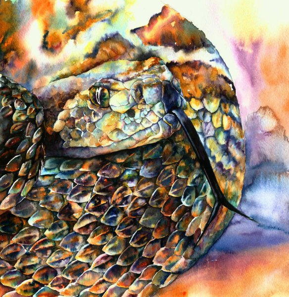Змеи акварелью