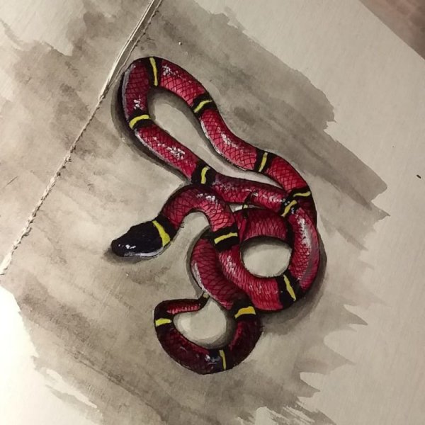 Змеи маркерами