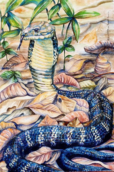 Змея акрилом
