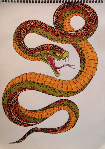 Змея цветными карандашами