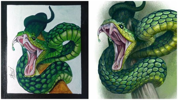 Зеленый питон рисунок