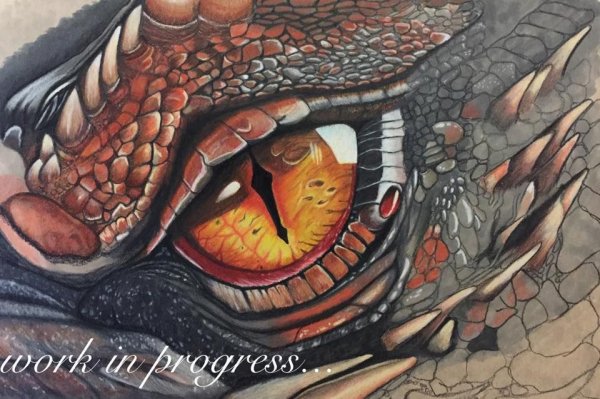 Глаз рептилии арт