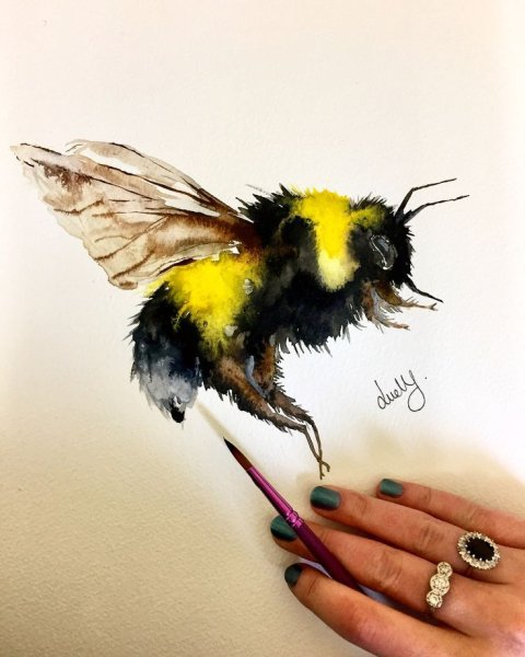 Шмель акварелью