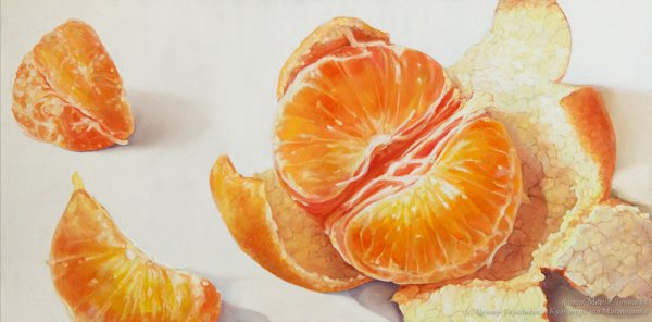 Мандарин акварелью